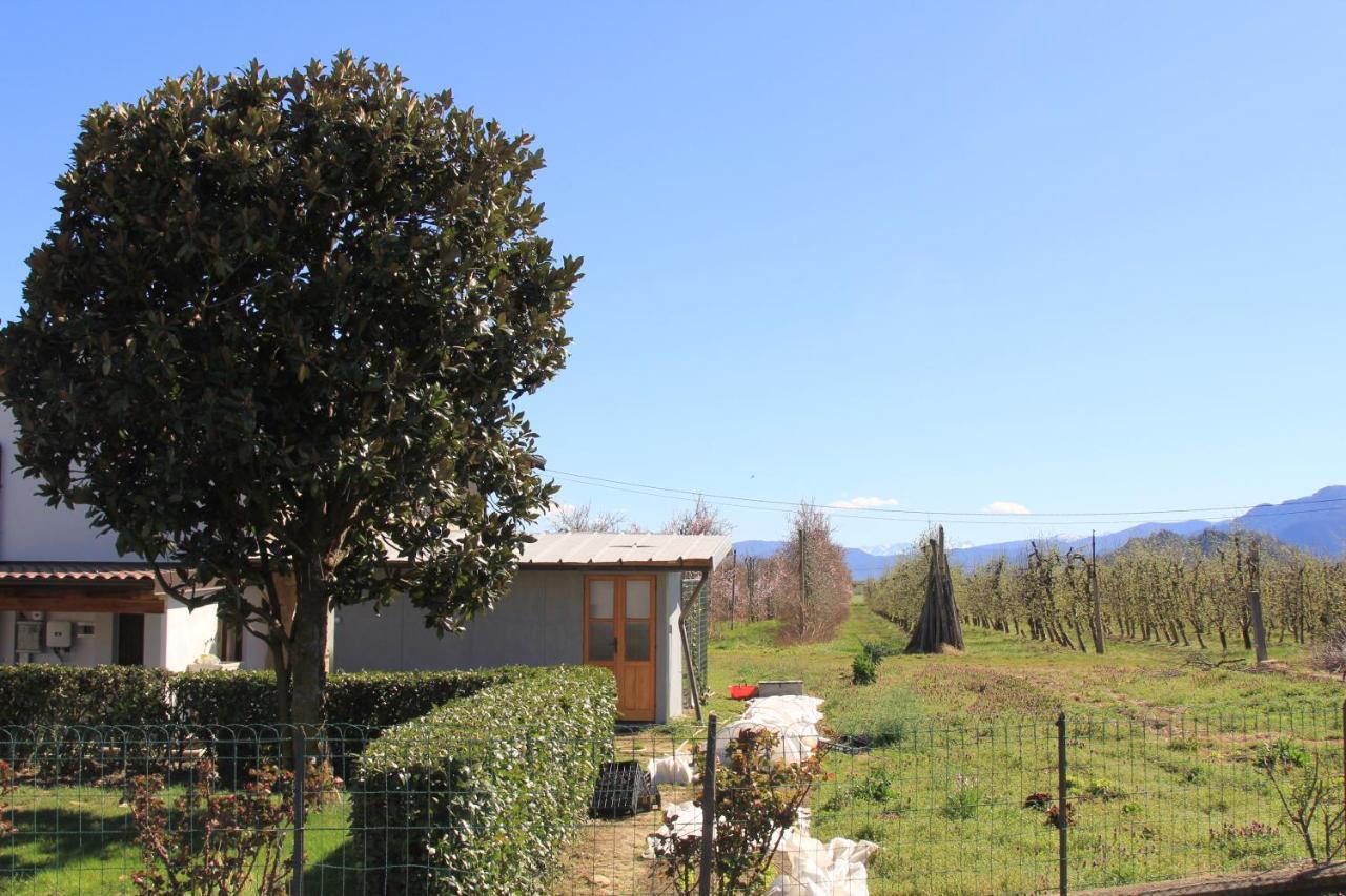 Casa Dell'Amicizia Appartement Castellani Buitenkant foto